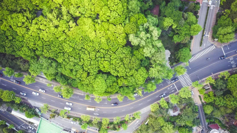 Roads, Rails, and Rage: How City-Builder Traffic Systems Are Accidentally Teaching You Real Urban Policy